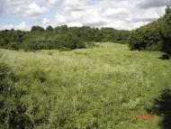 Борщі з panoramio.com