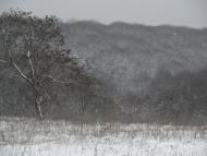 Литовка з panoramio.com