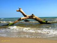 Лебедівка з panoramio.com