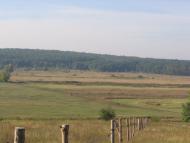 Лубське з panoramio.com