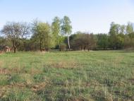 Ракужа з panoramio.com