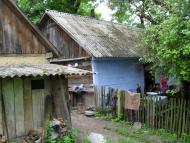 Ріпки з panoramio.com