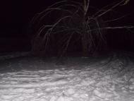 Зелене з panoramio.com