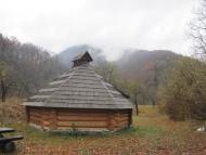 Чорноголова з panoramio.com