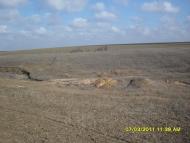 Томарине з panoramio.com