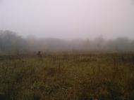 Козин з panoramio.com