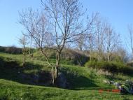 Сербиновка - Последние фото