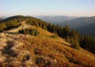 Мислівка з panoramio.com