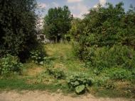 Новопостроїне з panoramio.com