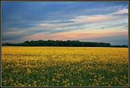 Федорівка з panoramio.com
