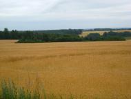 Проходи з panoramio.com