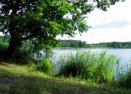 Городок з panoramio.com