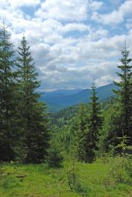 Згари з panoramio.com