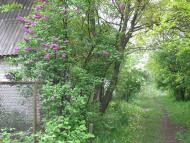 Новокалинове - Останні фото