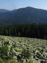 Мислівка з panoramio.com