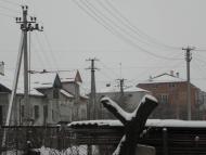 Скелівка з panoramio.com