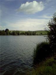 Гологори з panoramio.com