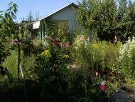 Удачне з panoramio.com