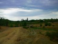 Шевченкове з panoramio.com