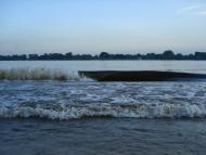 Вишеньки з panoramio.com