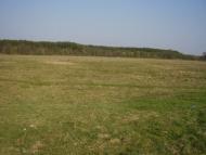 Зноб-Новгородське - Останні фото