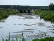 Селище - Последние фото