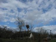 Грабине з panoramio.com