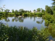 Гута з panoramio.com