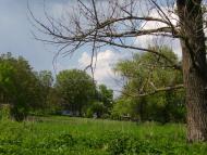 Алексеевка - Последние фото