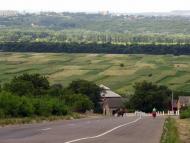 Рідківці з panoramio.com