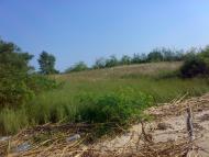 Чехівка з panoramio.com