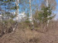 Слоут з panoramio.com