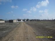 Томарине з panoramio.com