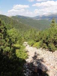 Згари з panoramio.com