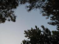 Жовтневе з panoramio.com