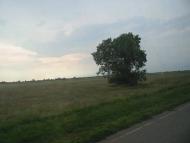 Наддніпрянське з panoramio.com