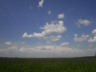 Лихачів з panoramio.com