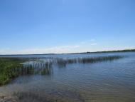 Дубечне з panoramio.com