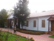 Гоголеве з panoramio.com