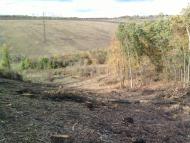 Борщі з panoramio.com