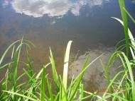 Ватутіне з panoramio.com