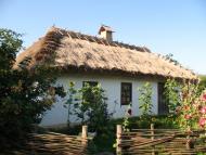 Мар'янівка з panoramio.com