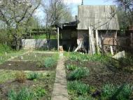 Новокалинове - Останні фото