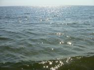 Приморське з panoramio.com