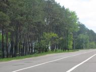 Романків з panoramio.com