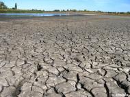 Базарове з panoramio.com