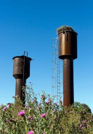 Базарове з panoramio.com