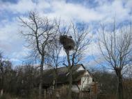 Грабине з panoramio.com