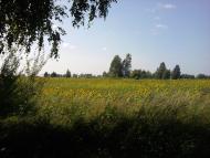 Терехівка з panoramio.com