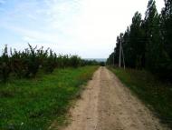 Садківці з panoramio.com